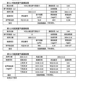 檢測報告（2024.12.31）