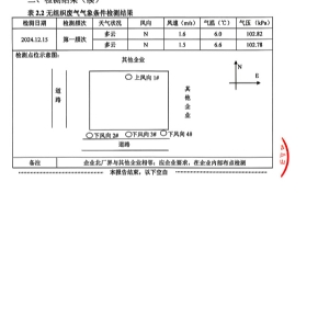 檢測報告（2024.12.31）